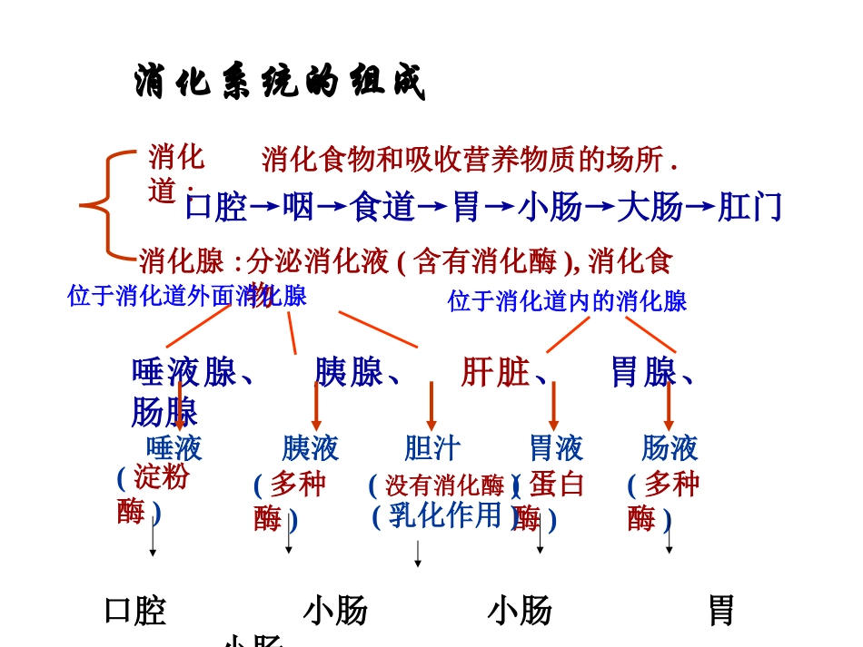 《呼吸道对空气的处理》人体的呼吸PPT课件[人教版七年级生物]_第2页