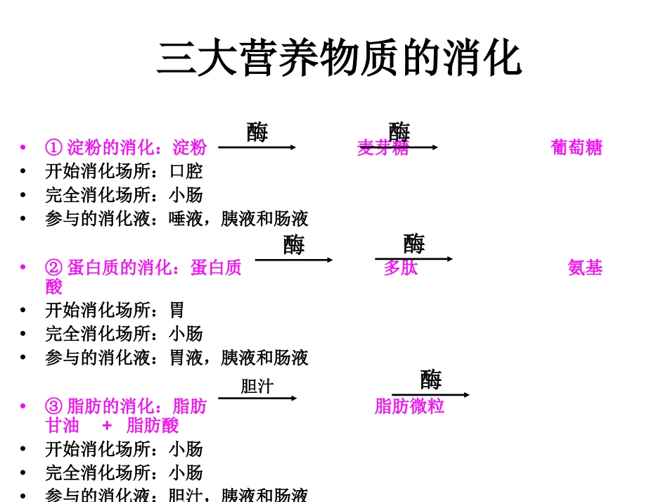 《呼吸道对空气的处理》人体的呼吸PPT课件[人教版七年级生物]_第3页