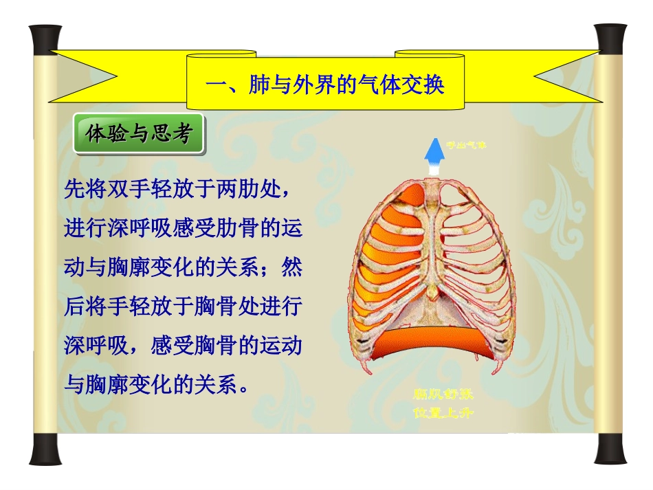 《发生在肺内的气体交换》人体的呼吸PPT课件[人教版七年级生物]_第2页