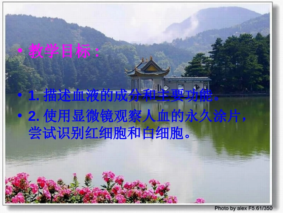 《流动的组织-血液》人体内物质的运输PPT课件[人教版七年级生物]_第2页