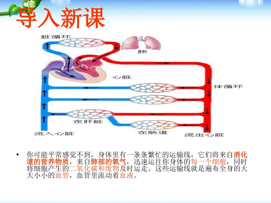 《流动的组织-血液》人体内物质的运输PPT课件[人教版七年级生物]_第1页