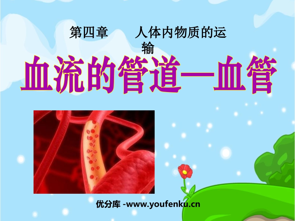 《血流的管道-血管》人体内物质的运输PPT课件[人教版七年级生物]_第1页