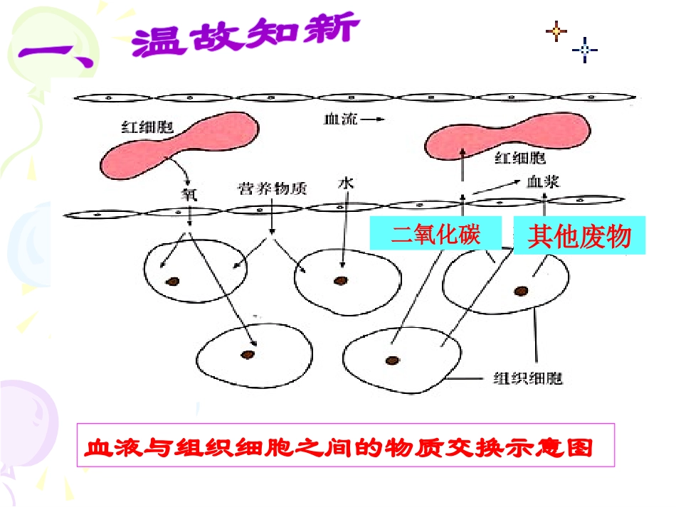 《人体内废物的排出》PPT课件[人教版七年级生物下册]_第2页