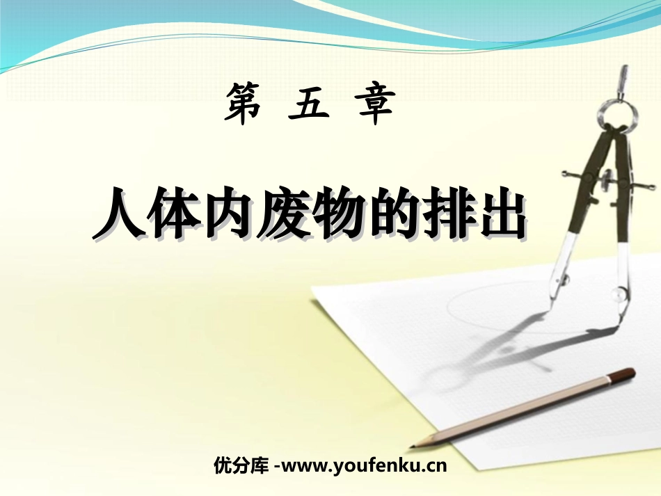 《人体内废物的排出》PPT课件[人教版七年级生物下册]_第1页