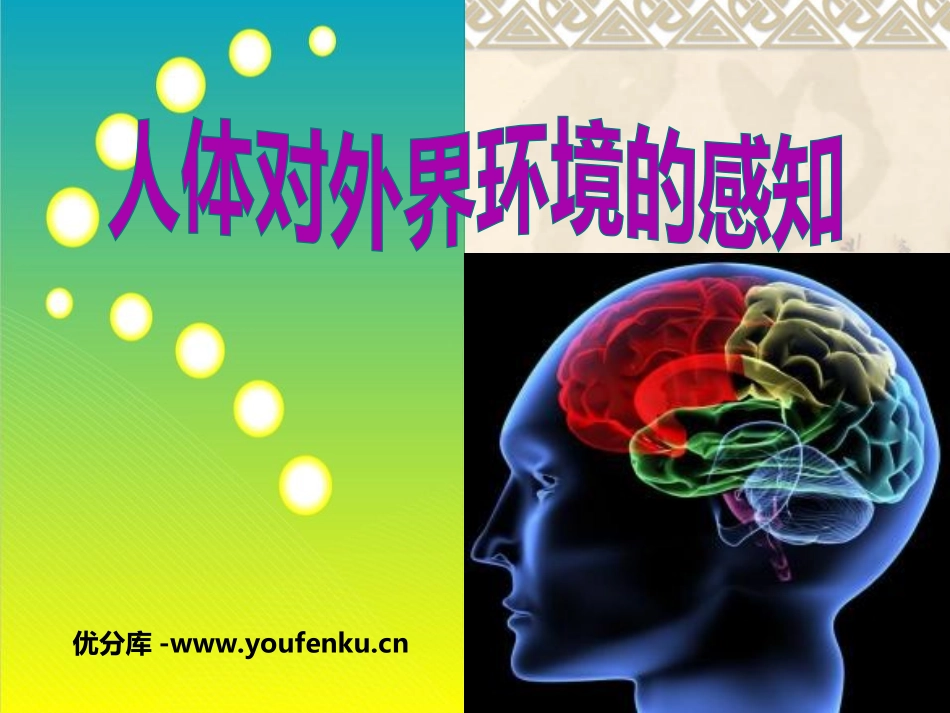 《人体对外界环境的感知》人体生命活动的调节PPT课件_第1页