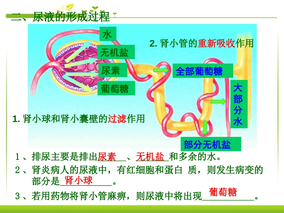 《人体对外界环境的感知》人体生命活动的调节PPT课件_第2页