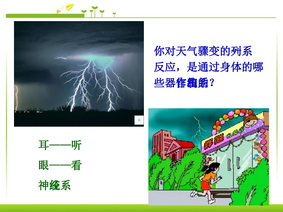 《人体对外界环境的感知》人体生命活动的调节PPT课件_第3页