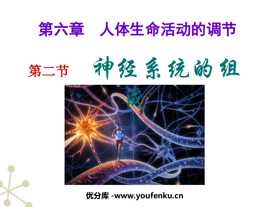 《神经系统的组成》人体生命活动的调节PPT课件[人教版七年级生物]_第1页