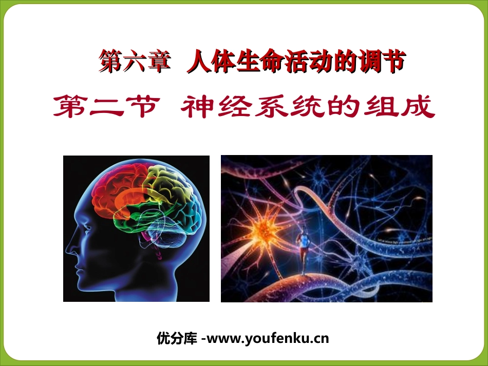 《神经系统的组成》人体生命活动的调节PPT课件[人教版七年级生物]_第1页