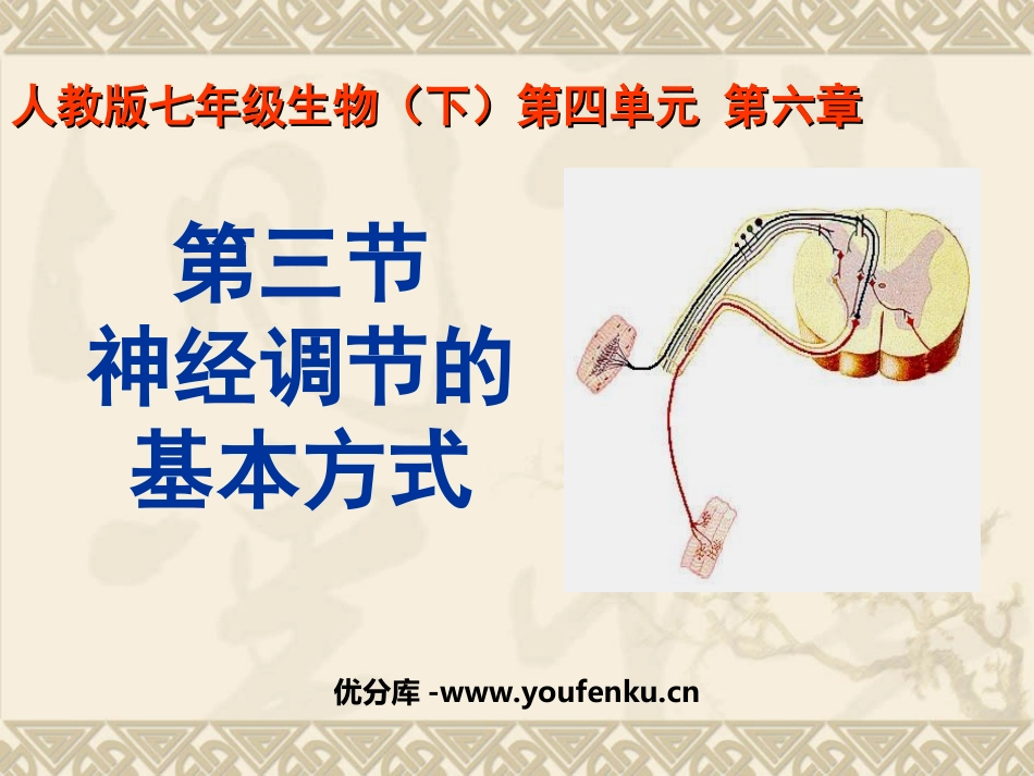《神经调节的基本方式》人体生命活动的调节PPT课件_第1页