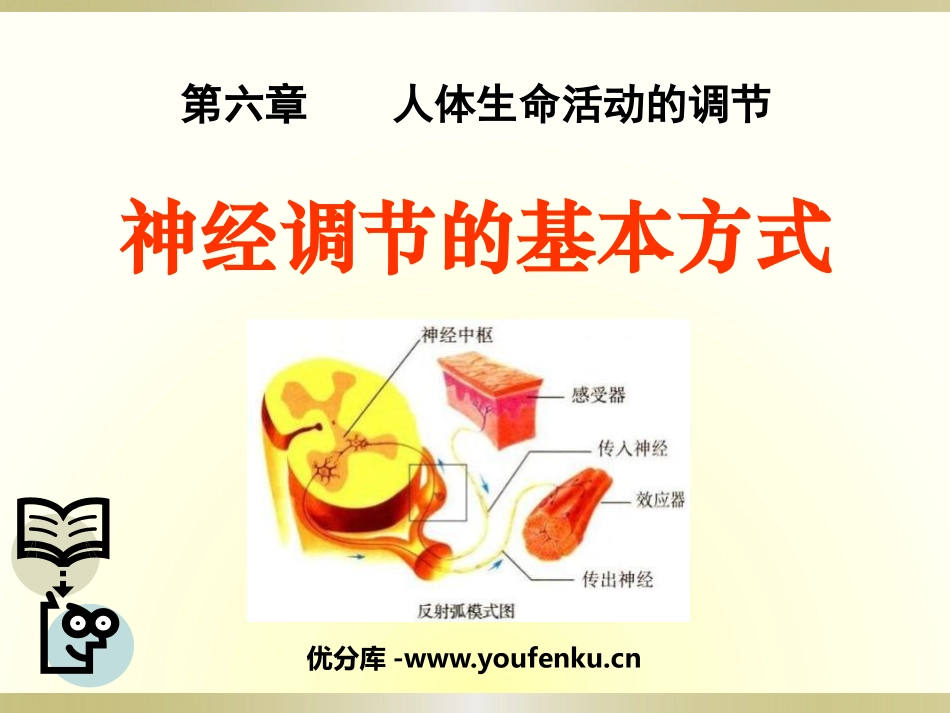 《神经调节的基本方式》人体生命活动的调节PPT课件_第1页