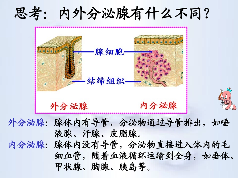 《激素调节》人体生命活动的调节PPT课件[人教版七年级生物]_第2页