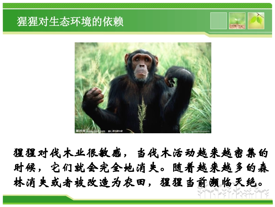 《分析人类活动对生态环境的影响》人类活动对生物圈的影响PPT课件_第2页