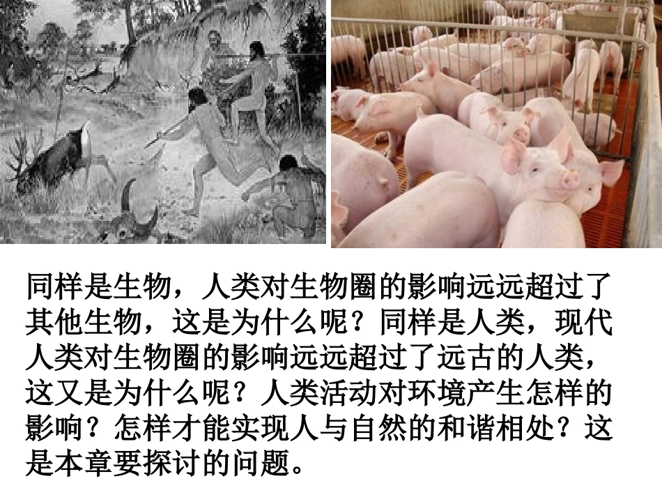 《分析人类活动对生态环境的影响》人类活动对生物圈的影响PPT课件_第2页