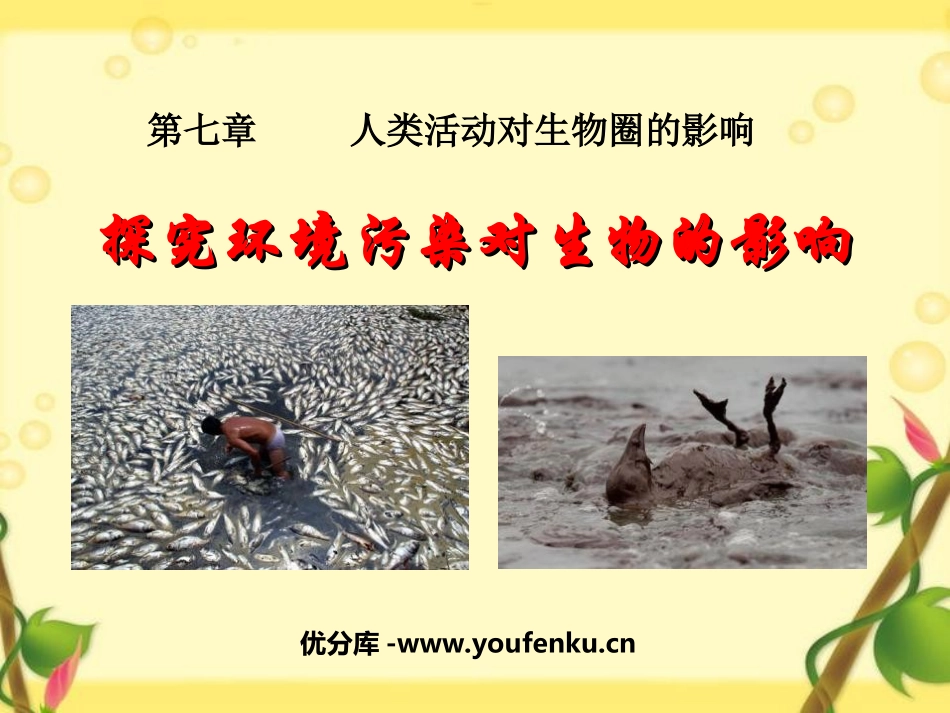 《探究环境污染对生物的影响》人类活动对生物圈的影响PPT课件_第1页
