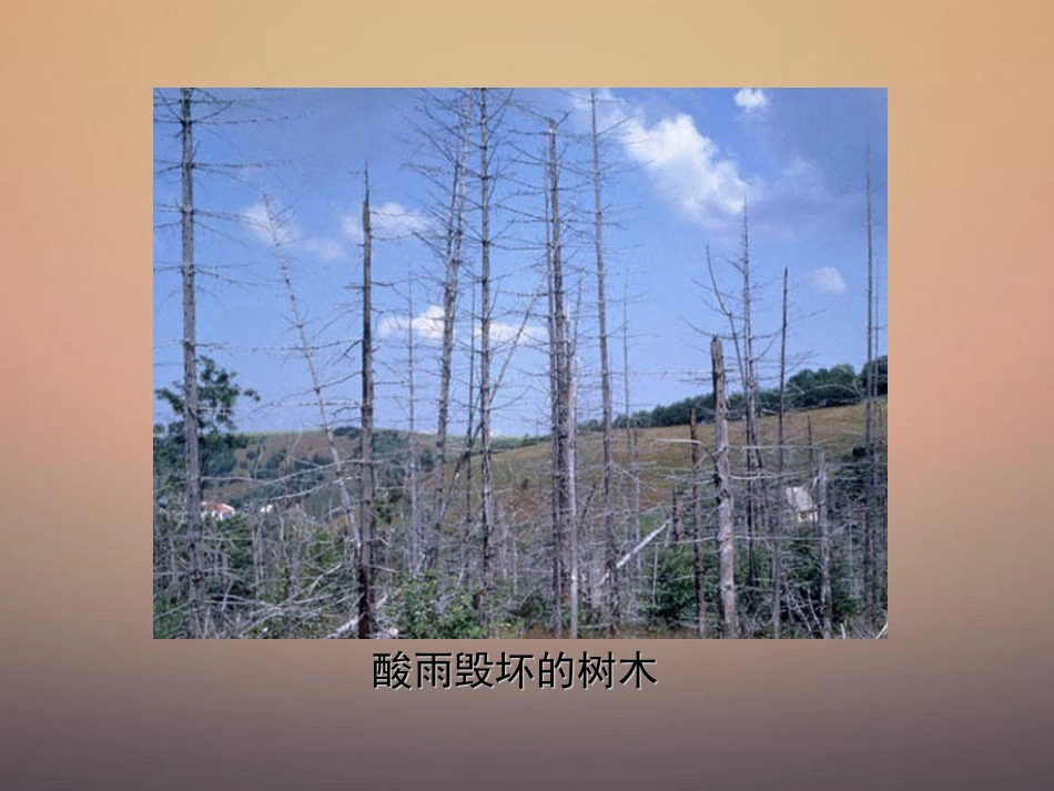 《探究环境污染对生物的影响》人类活动对生物圈的影响PPT课件_第2页