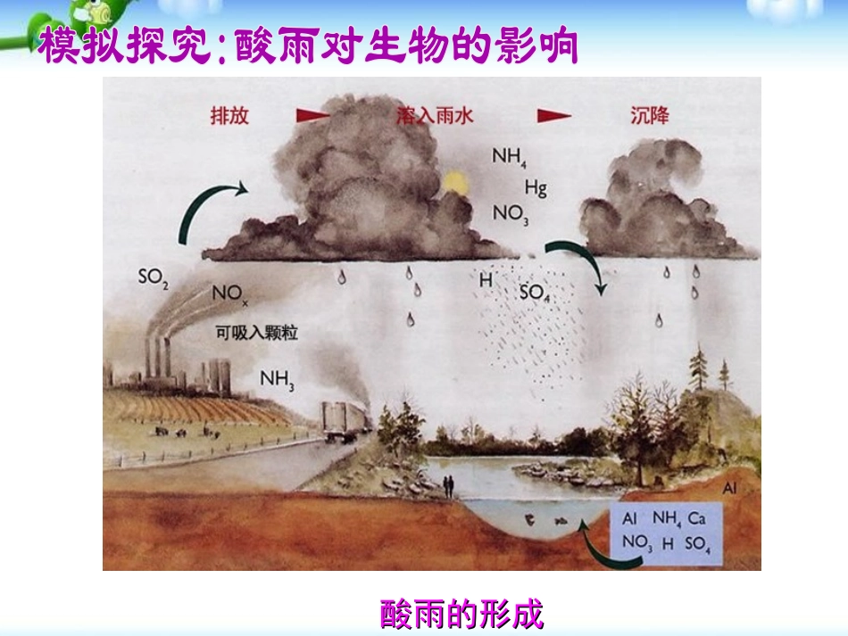 《探究环境污染对生物的影响》人类活动对生物圈的影响PPT课件_第3页