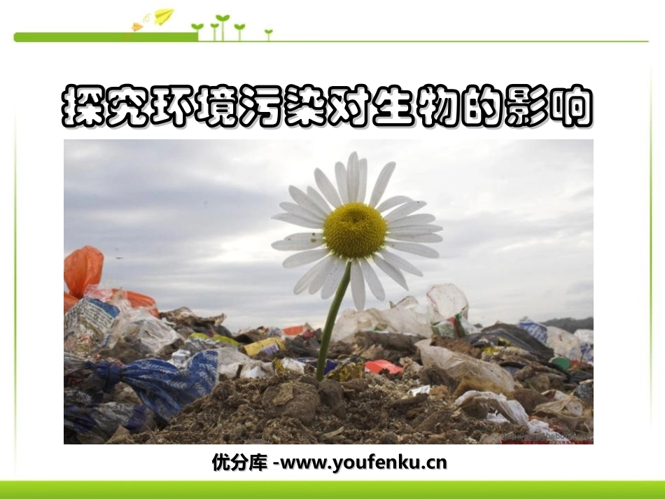 《探究环境污染对生物的影响》人类活动对生物圈的影响PPT课件_第1页