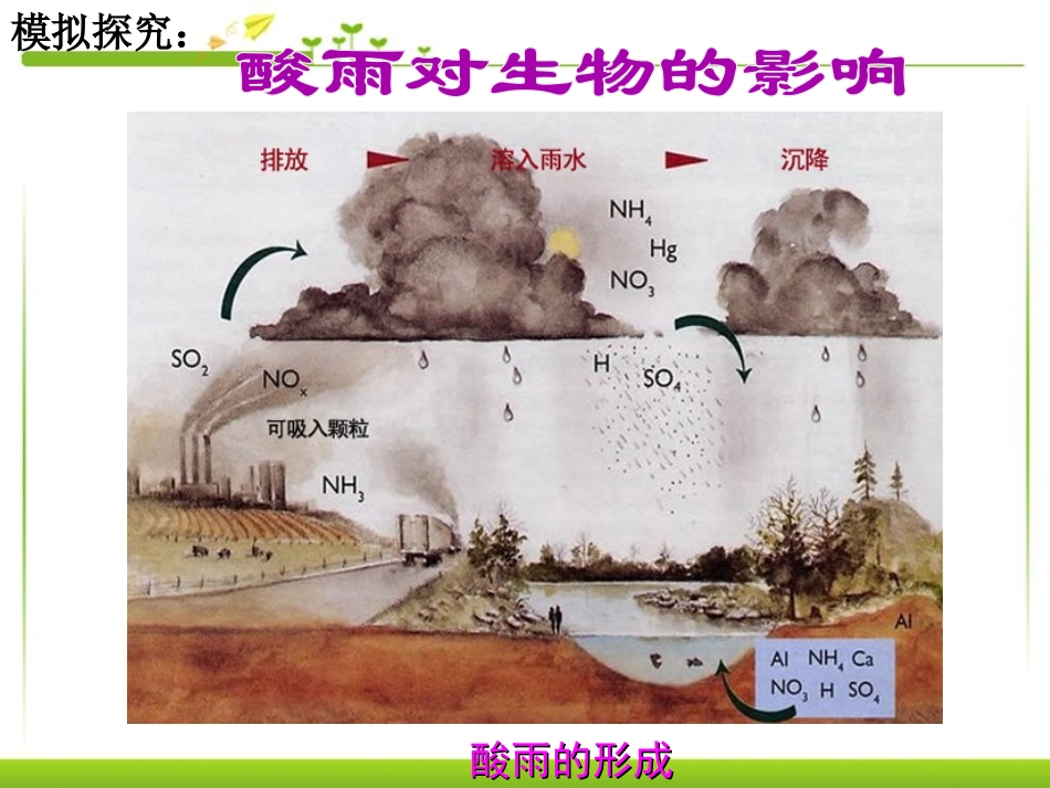 《探究环境污染对生物的影响》人类活动对生物圈的影响PPT课件_第3页