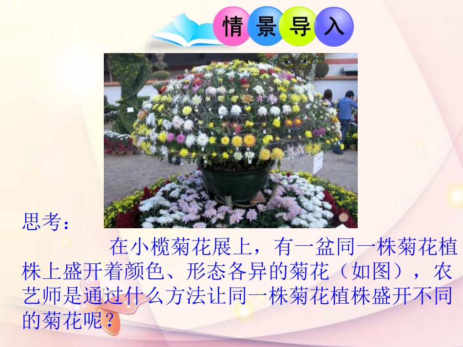 《植物的生殖》生物的生殖和发育PPT课件[人教版八年级生物]_第3页