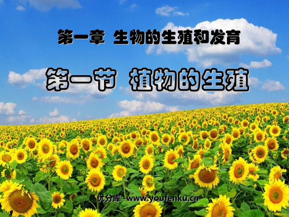 《植物的生殖》生物的生殖和发育PPT课件[人教版八年级生物]_第1页