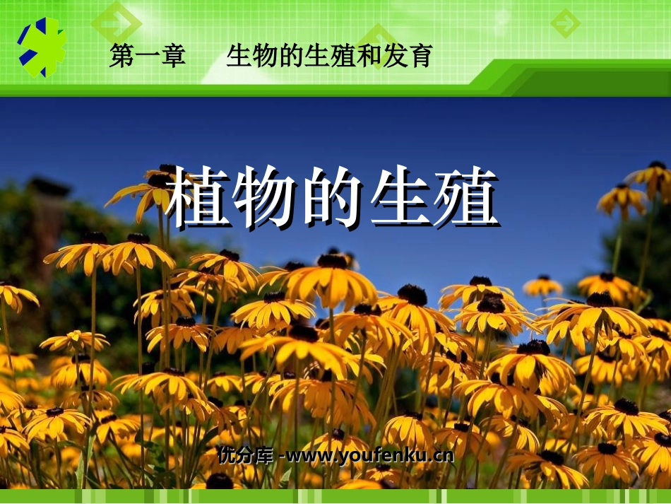 《植物的生殖》生物的生殖和发育PPT课件[人教版八年级生物]_第1页
