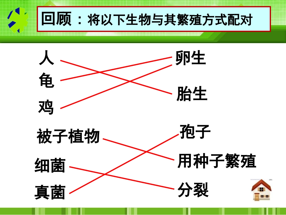 《植物的生殖》生物的生殖和发育PPT课件[人教版八年级生物]_第2页