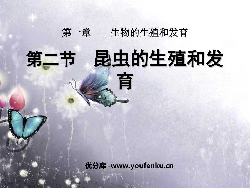 《昆虫的生殖和发育》生物的生殖和发育PPT课件[人教版八年级生物]_第1页