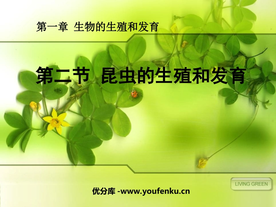 《昆虫的生殖和发育》生物的生殖和发育PPT课件[人教版八年级生物]_第1页