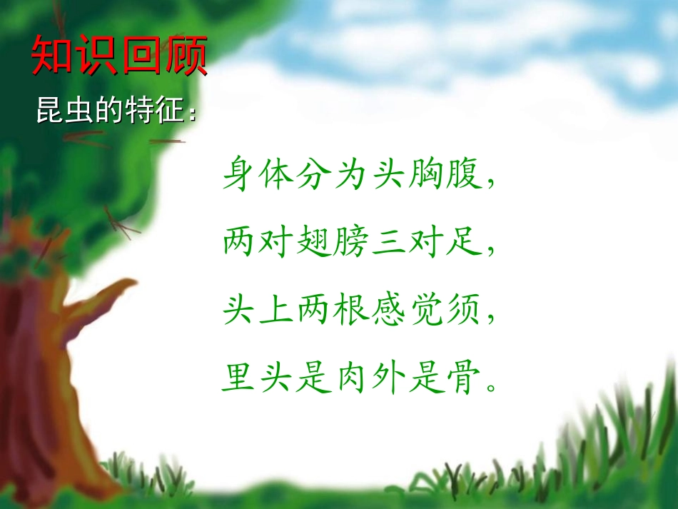 《昆虫的生殖和发育》生物的生殖和发育PPT课件[人教版八年级生物]_第2页