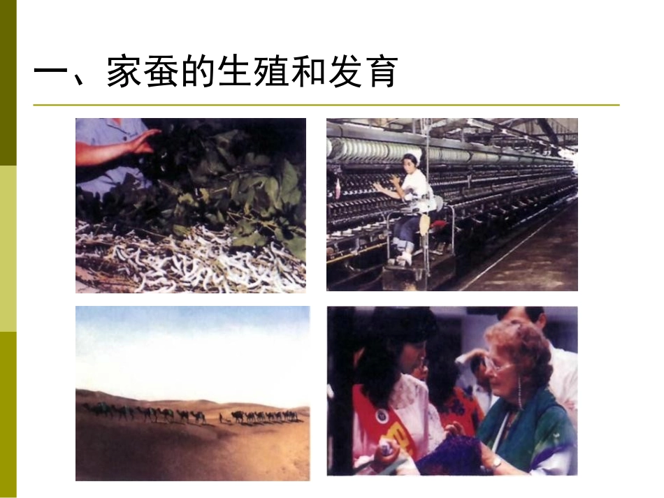 《昆虫的生殖和发育》生物的生殖和发育PPT课件[人教版八年级生物]_第3页