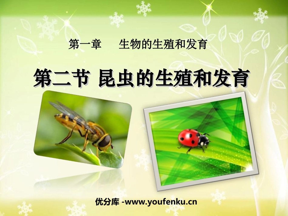 《昆虫的生殖和发育》生物的生殖和发育PPT课件[人教版八年级生物]_第1页