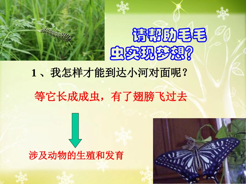 《昆虫的生殖和发育》生物的生殖和发育PPT课件[人教版八年级生物]_第3页