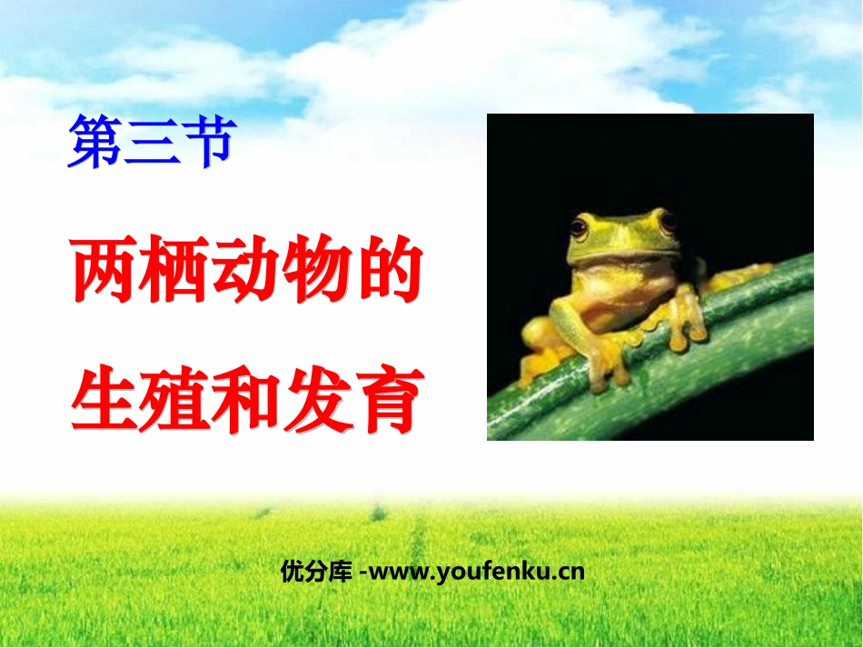 《两栖动物的生殖和发育》生物的生殖和发育PPT课件_第1页