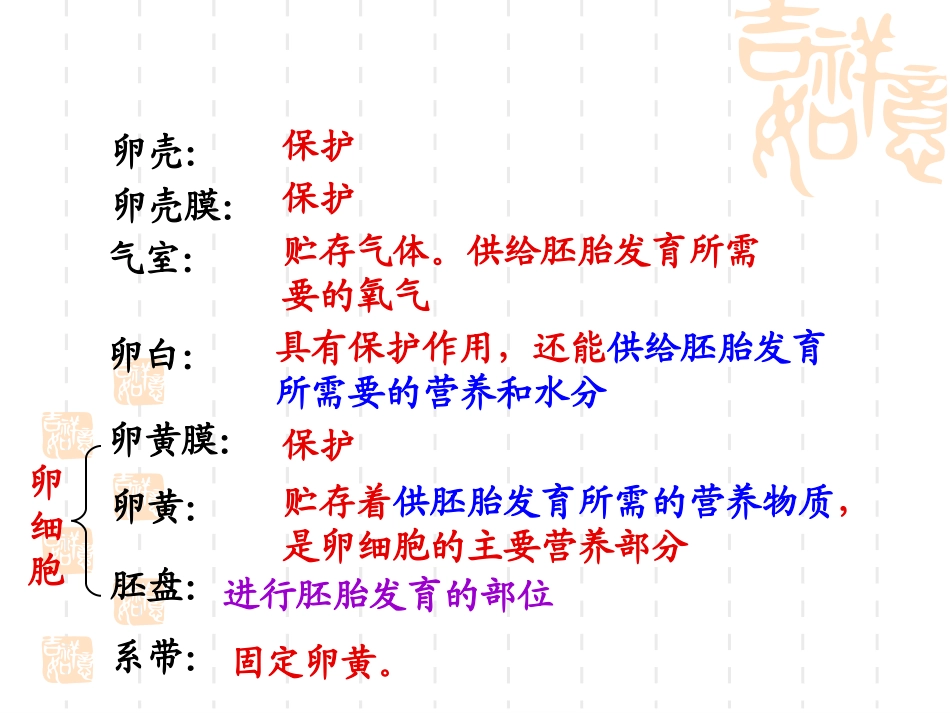 《鸟的生殖和发育》生物的生殖和发育PPT课件[人教版八年级生物]_第3页