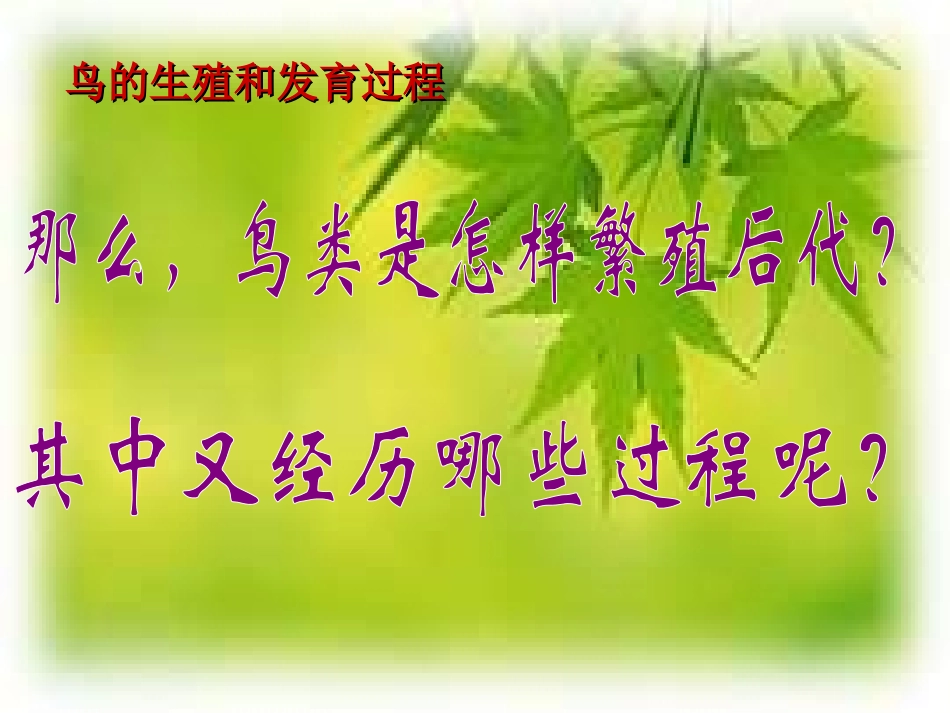 《鸟的生殖和发育》生物的生殖和发育PPT课件[人教版八年级生物]_第2页
