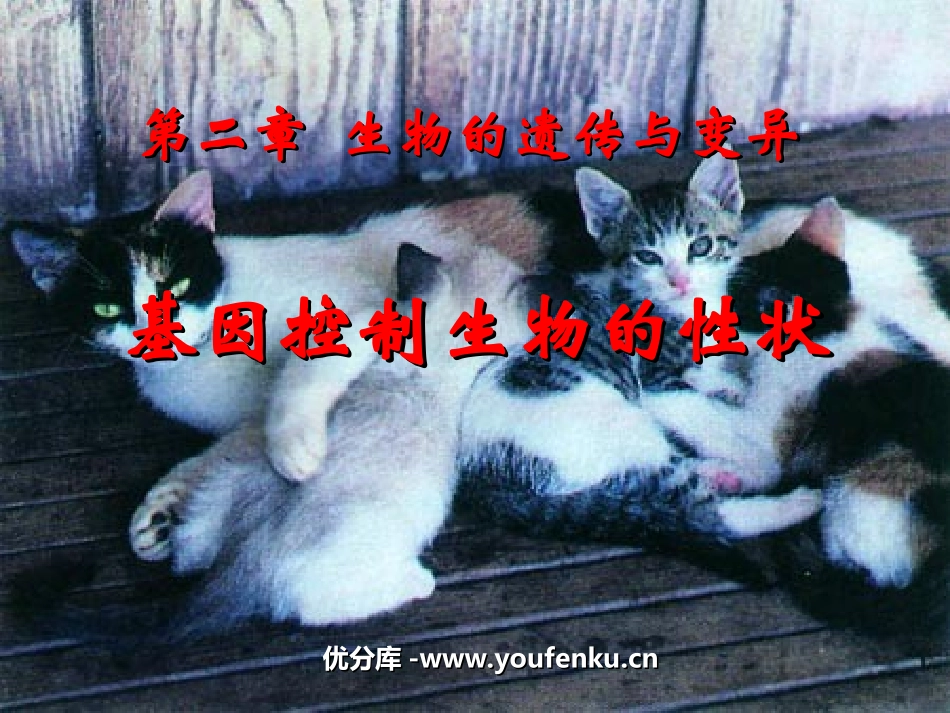 《基因控制生物的性状》生物的遗传和变异PPT课件_第1页