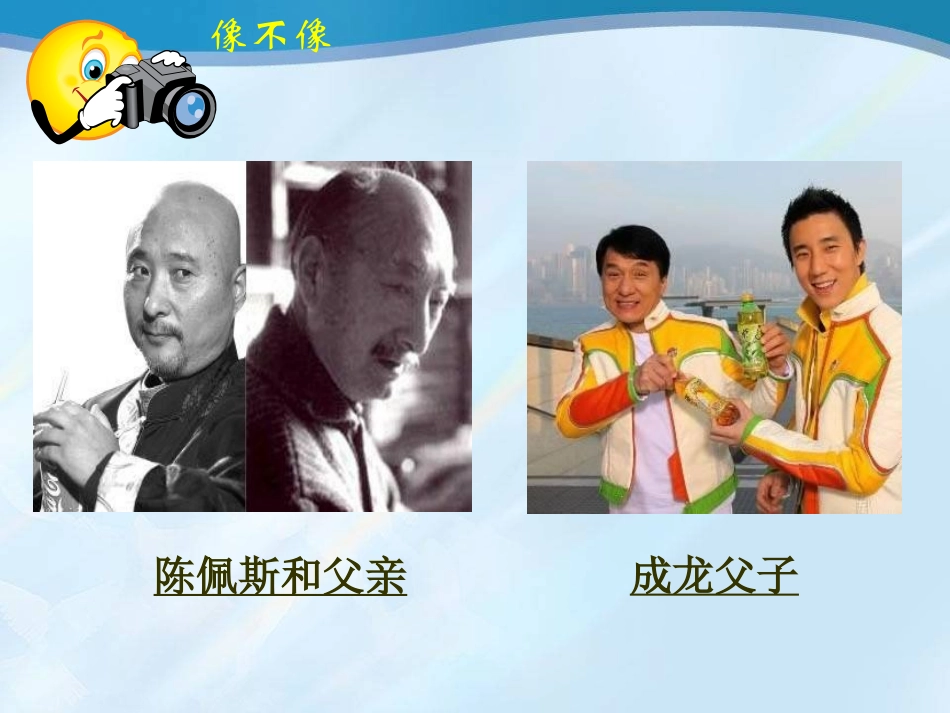 《基因控制生物的性状》生物的遗传和变异PPT课件_第3页