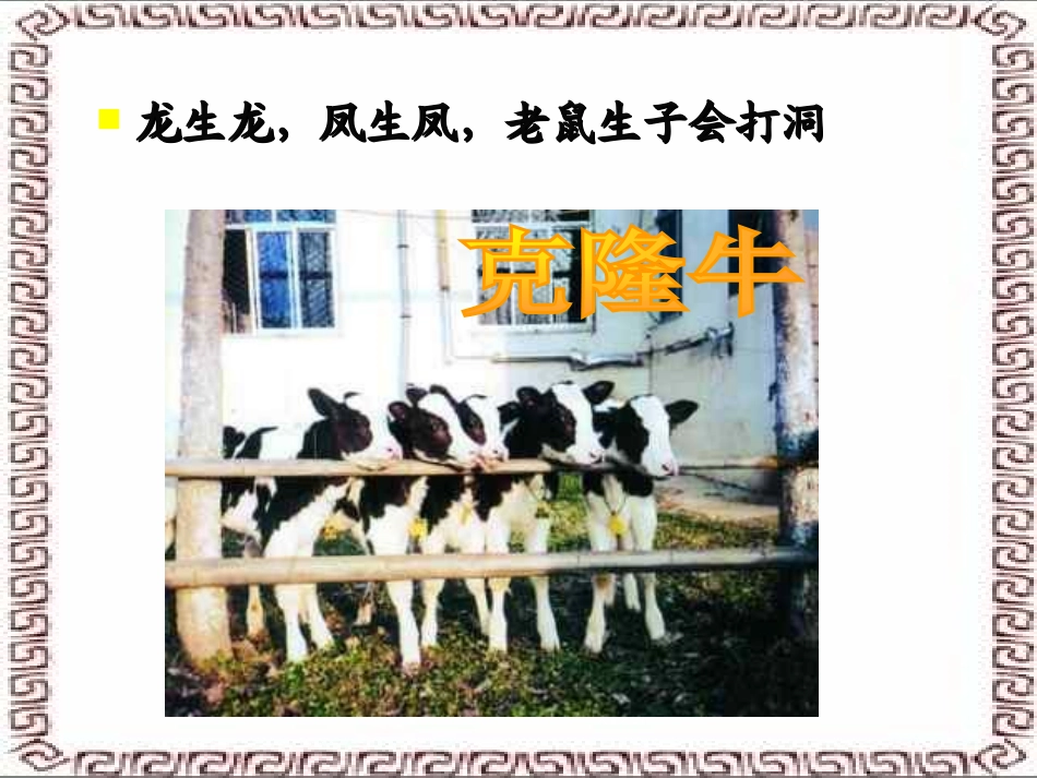 《基因控制生物的性状》生物的遗传和变异PPT课件_第3页