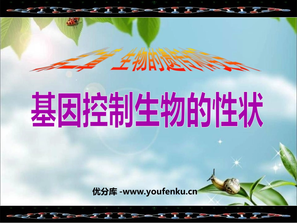 《基因控制生物的性状》生物的遗传和变异PPT课件_第1页