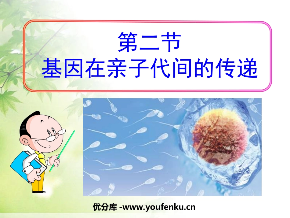 《基因在亲子代间的传递》生物的遗传和变异PPT课件_第1页
