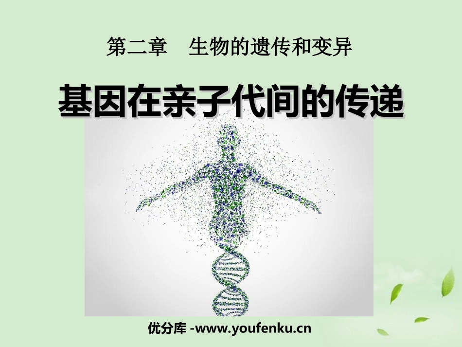 《基因在亲子代间的传递》生物的遗传和变异PPT课件_第1页
