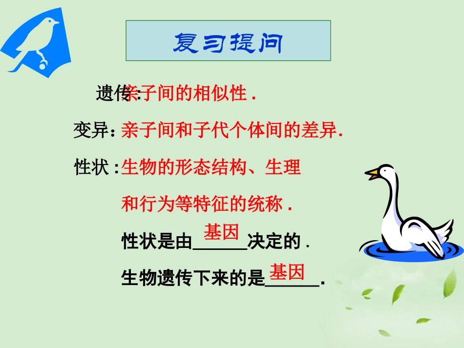 《基因在亲子代间的传递》生物的遗传和变异PPT课件_第3页