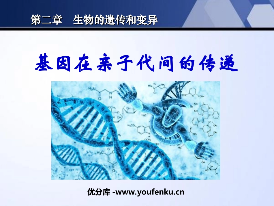 《基因在亲子代间的传递》生物的遗传和变异PPT课件_第1页