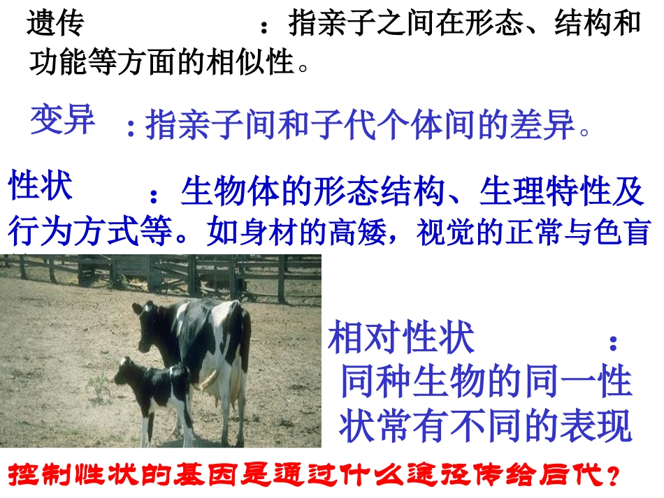 《基因在亲子代间的传递》生物的遗传和变异PPT课件_第2页