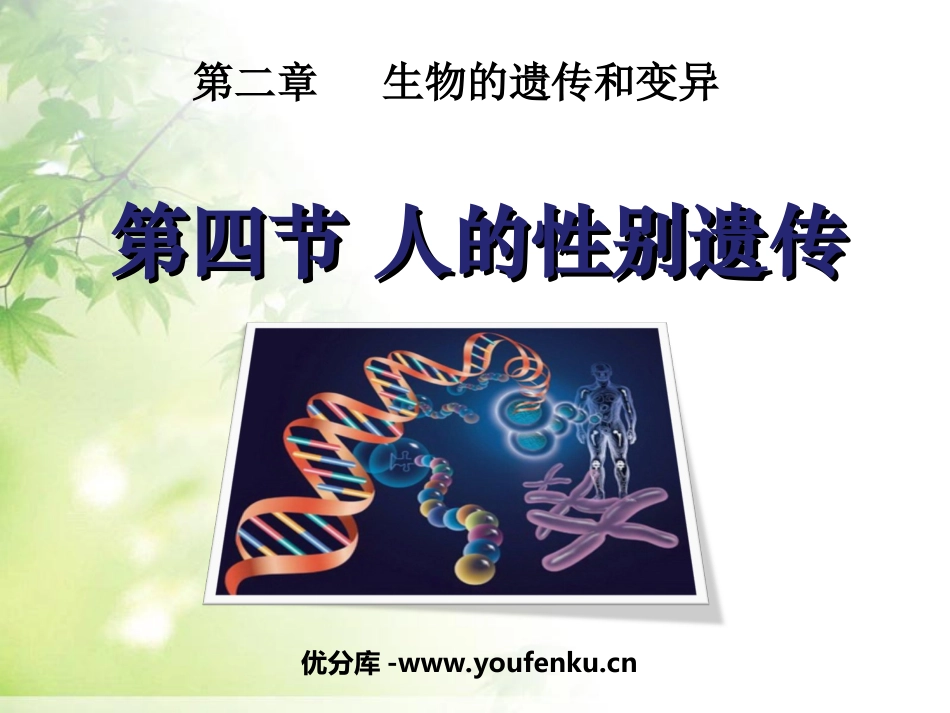 《人的性别遗传》生物的遗传和变异PPT课件[人教版八年级生物]_第1页