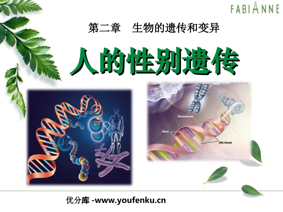 《人的性别遗传》生物的遗传和变异PPT课件[人教版八年级生物]_第1页