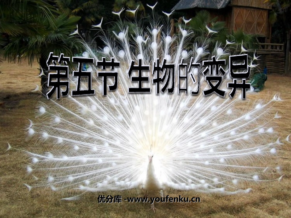 《生物的变异》生物的遗传和变异PPT课件[人教版八年级生物]_第1页