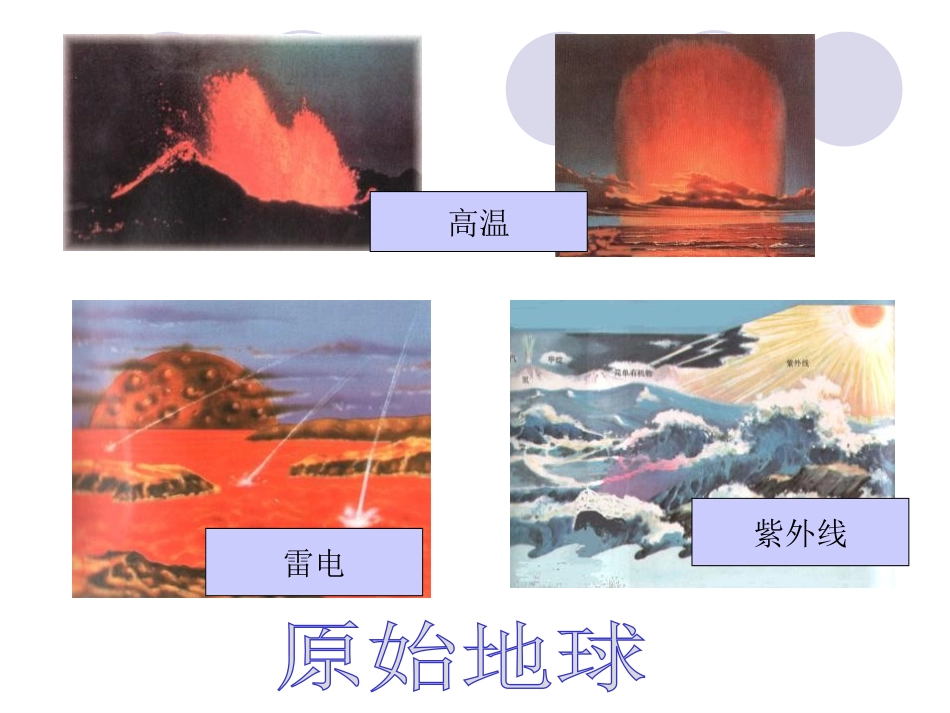 《地球上生命的起源》生物的进化PPT课件[人教版八年级生物]_第2页