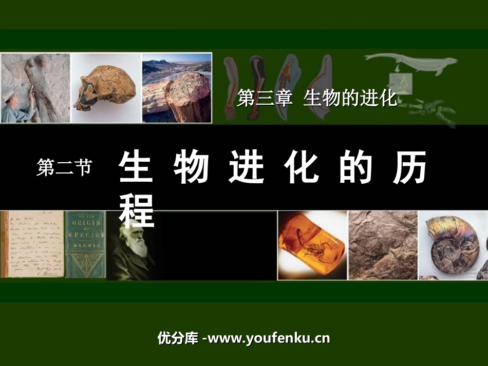 《生物进化的历程》生物的进化PPT课件[人教版八年级生物]_第1页